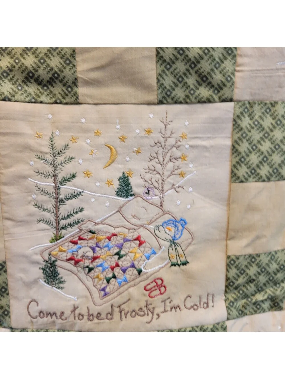Vtg Quilt Embroidered Winter-themed Blocks from The Quilting Snow Ladies Q99